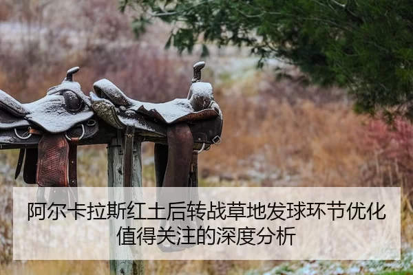 a-er-ka-la-si-hong-tu-hou-zhuan-zhan-cao-di-fa-qiu-huan-jie-you-hua-zhi-de-guan-zhu-de-shen-du-fen-xi-2-728.jpg