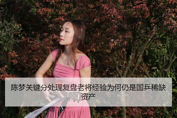 chen-meng-guan-jian-fen-chu-li-fu-pan-lao-jiang-jing-yan-wei-he-reng-shi-guo-ping-xi-que-zi-chan-2-173.jpg