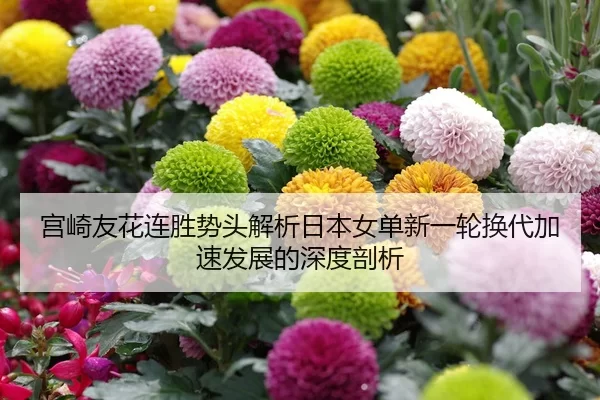 宫崎友花连胜势头解析日本女单新一轮换代加速发展的深度剖析